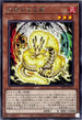 INFO-JP019 幻禄の天盃龍 R