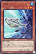 PHNI-JP007 白鰯 R