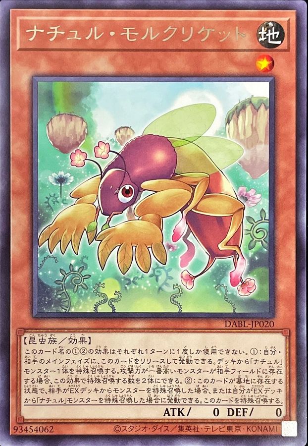 DABL-JP020 ナチュルモルクリケット R