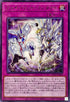 POTE-JP069 フェイバリットコンタクト R