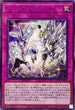 POTE-JP069 フェイバリットコンタクト R