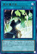DAMA-JP065 高尚儀式術 R