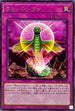 LIOV-JP078 ワンバイワン R
