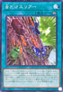 WPP6-JP072 虫だけエリアー N