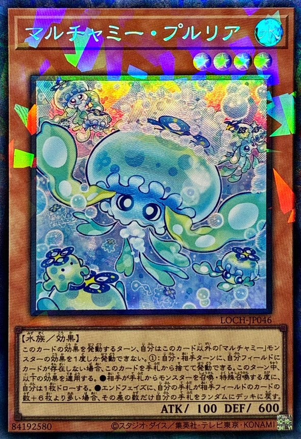 LOCH-JP046 マルチャミープルリア CR