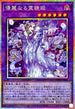 WPP6-JP063 優麗なる霊鏡姫 PSE