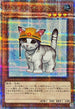 QCAC-JP006 レスキューキャット(左向) QCSE