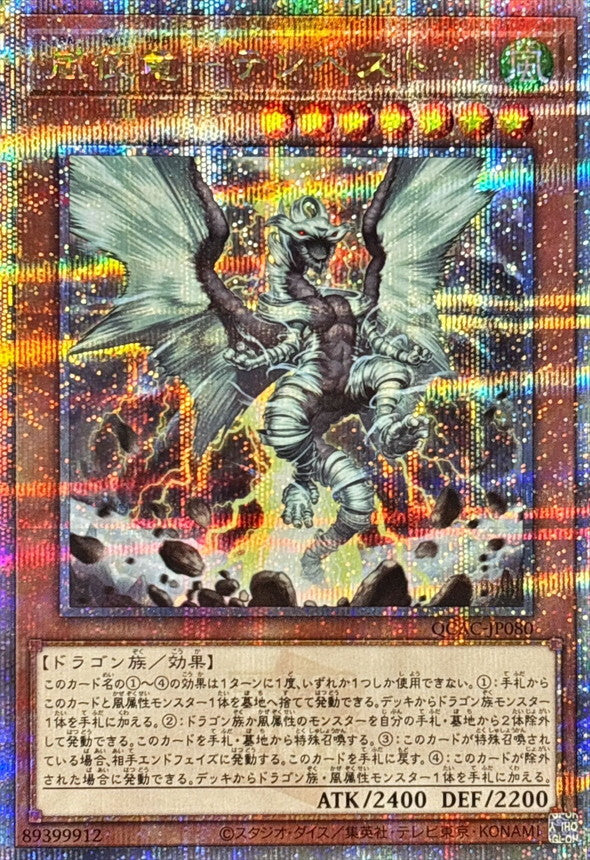 QCAC-JP080 嵐征竜テンペスト QCSE