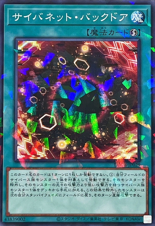 DBCB-JP029 サイバネットバックドア NPR