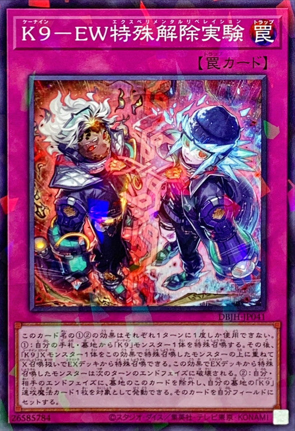 DBJH-JP041 K9EW特殊解除実験 NPR