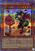 QCCP-JP147 マドルチェメッセンジェラート QCSE