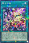 DBVS-JP022 騎士の絆 NPR