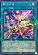 DBVS-JP022 騎士の絆 NPR