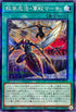 AC02-JP030 蚊学忍法軍蚊マーチ NPR