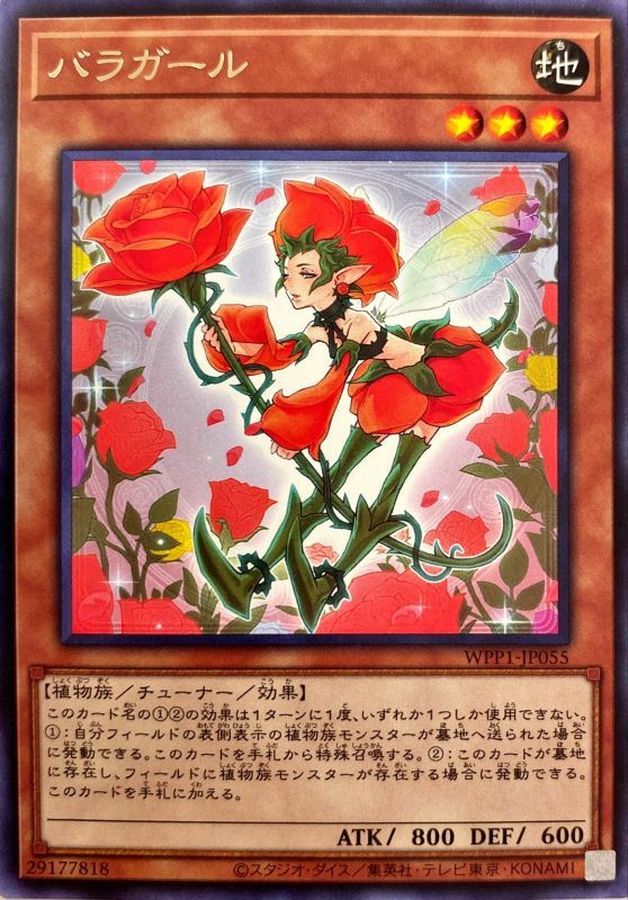 WPP1-JP055 バラガール R