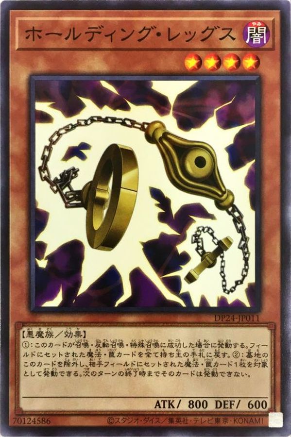 DP24-JP011 ホールディングレッグス N