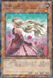 DBSS-JP039 薔薇恋人 NPR