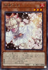 TTP1-JP078 灰流うらら R