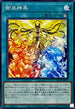 TTP1-JP072 御巫神楽 N