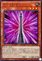 TTP1-JP077 アショカピラー N