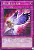 26PP-JP006 闇に堕ちた天使 NPR