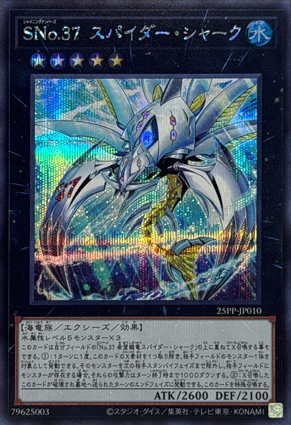 25PP-JP010 SNo37スパイダーシャーク SE