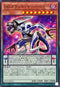 25PP-JP014 DDカウントサーベイヤー NPR