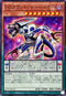 25PP-JP014 DDカウントサーベイヤー N