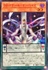 25PP-JP015 DDスケールサーベイヤー SER