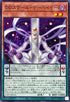 25PP-JP015 DDスケールサーベイヤー N