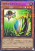 QCTB-JP055 サイコトラッカー NPR