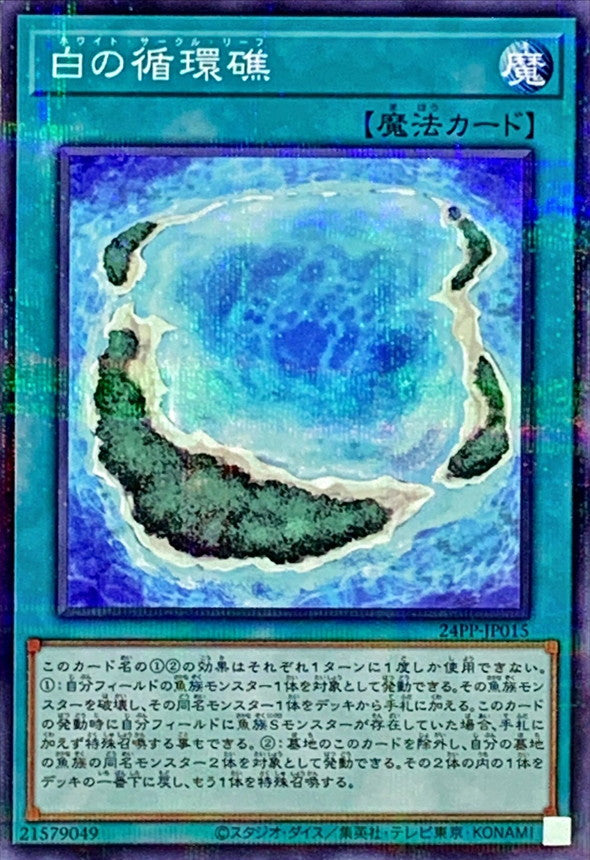 24PP-JP015 白の循環礁 NPR