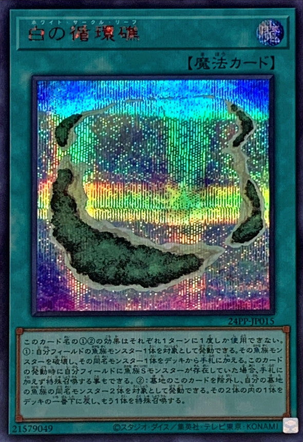 24PP-JP015 白の循環礁 SER