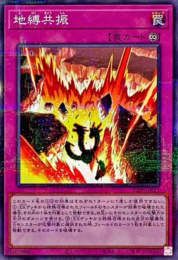 24PP-JP011 地縛共振 NPR