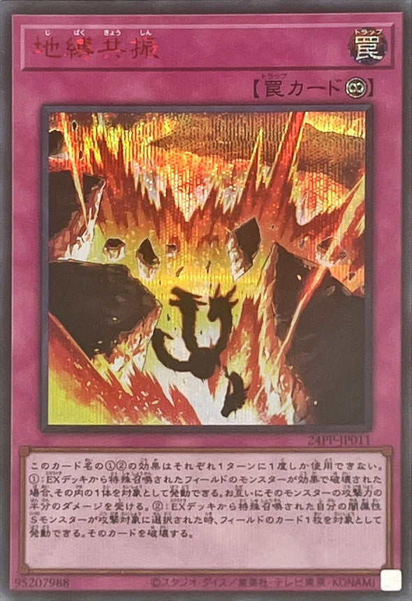 24PP-JP011 地縛共振 SER