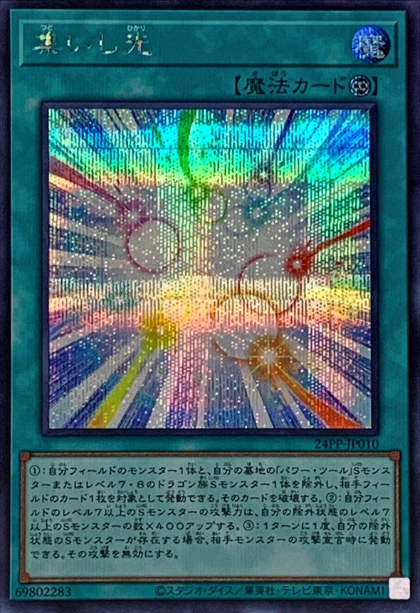 24PP-JP010 集いし光 SE