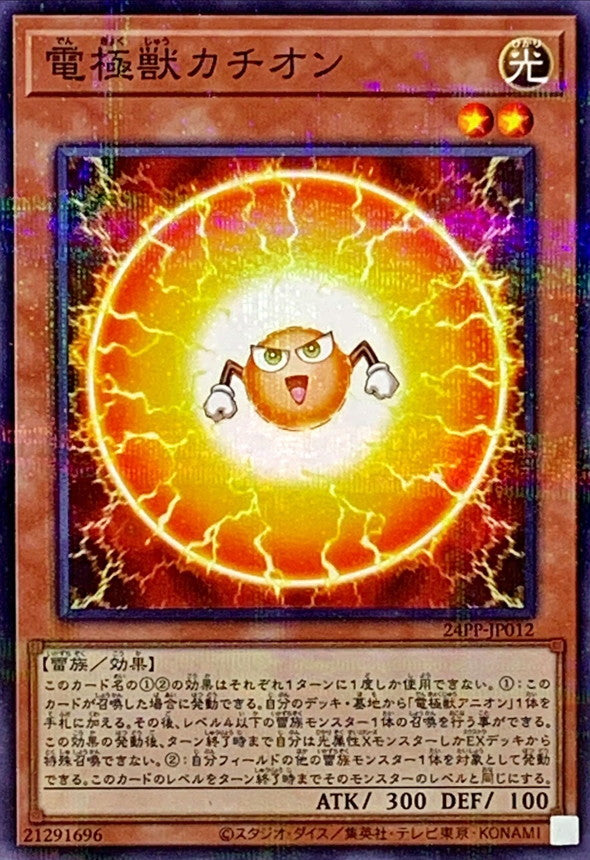 24PP-JP012 電極獣カチオン NPR