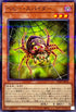 23PP-JP014 ベビースパイダー NPR