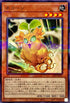 23PP-JP011 ネコーン NPR