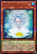 SUB1-JP054 六花のひとひら NPR