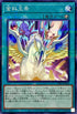 23PP-JP004 金科玉条 NPR