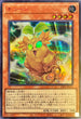 23PP-JP011 ネコーン SER
