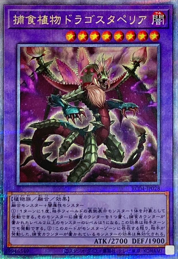 RC04-JP028 捕食植物ドラゴスタペリア QCSE