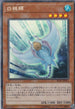 RC03-JP011 白棘グレイ/ホワイトスティングレイ CR